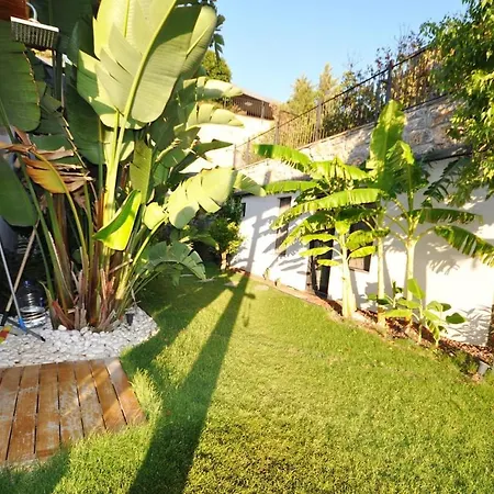 Bodrum Myhondre Shea Villa * Bodrum